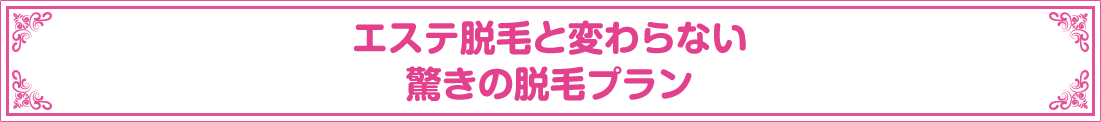 エステ脱毛と変わらない 驚きの脱毛プラン